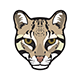 Ocelot+